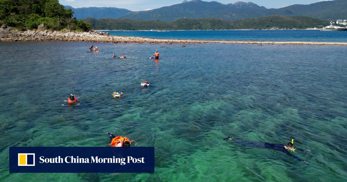 https://cdn.i-scmp.com/sites/default/files/styles/og_image_scmp_generic/public/d8/images/canvas/2025/10/11/83cc25d1-d53c-4523-82e4-a325440348b0_769b803a.jpg?itok=KSRL-7HB&v=1760116361