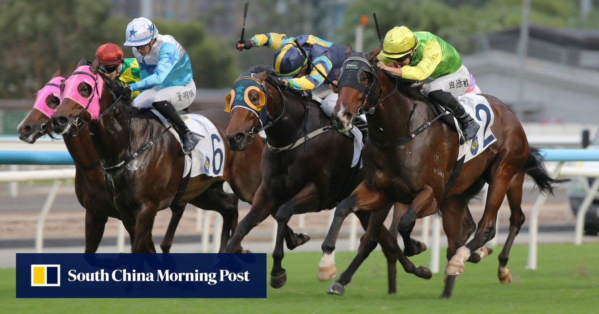 Group tests await Tomodachi Kokoroe after gutsy Sha Tin success