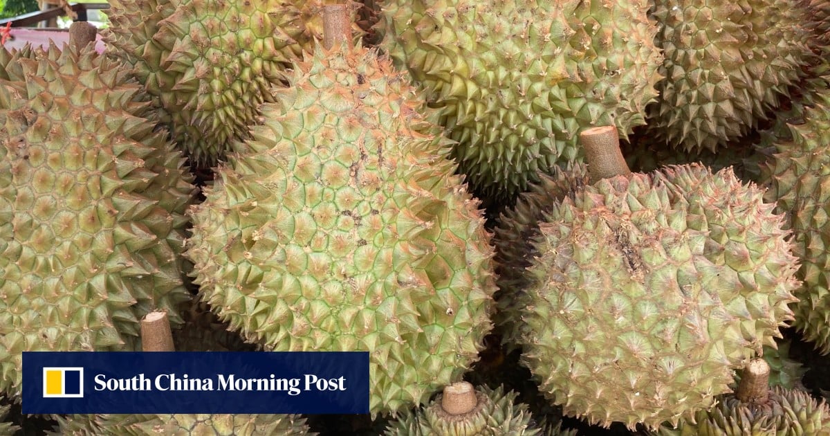 https://cdn.i-scmp.com/sites/default/files/styles/og_image_scmp_generic/public/d8/images/canvas/2025/10/13/de1c171e-029b-44c3-b8a4-d62144a999e8_5e5408d8.jpg?itok=EHG6SFfW&v=1760342758