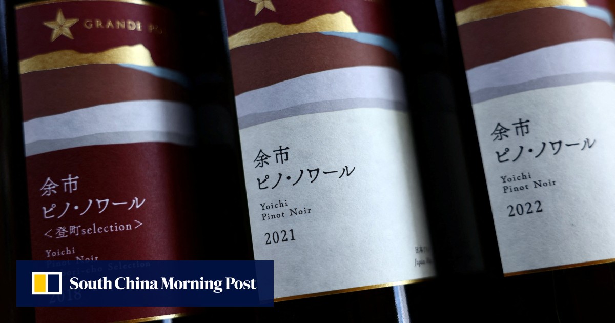 https://cdn.i-scmp.com/sites/default/files/styles/og_image_scmp_generic/public/d8/images/canvas/2025/10/14/3c6a2ad2-6e4b-4754-b96d-1a416dce1c13_0b82bab4.jpg?itok=PNDTW2UV&v=1760435358