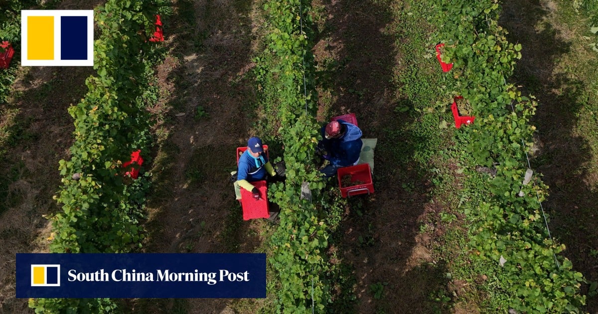 https://cdn.i-scmp.com/sites/default/files/styles/og_image_scmp_generic/public/d8/images/canvas/2025/10/14/6a88fdf8-e703-48d8-80c0-aa00197c7623_3d2fa0d3.jpg?itok=hJzlP2S6