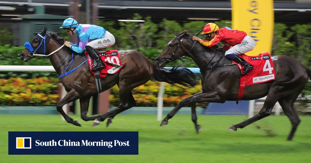 Brett Crawford has high hopes of Class Two Happy Valley victory with Encountered