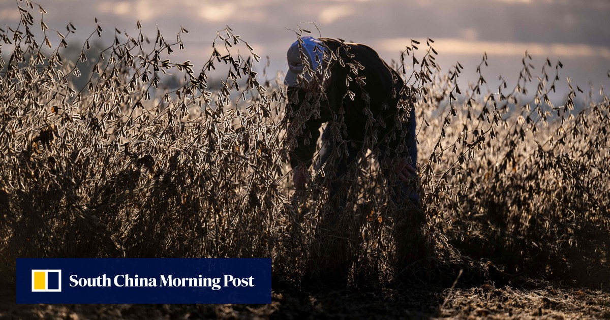 https://cdn.i-scmp.com/sites/default/files/styles/og_image_scmp_generic/public/d8/images/canvas/2025/10/15/5fd82325-a345-4d6c-8524-6fab383ea34a_067cbba6.jpg?itok=a9ePWait&v=1760535623