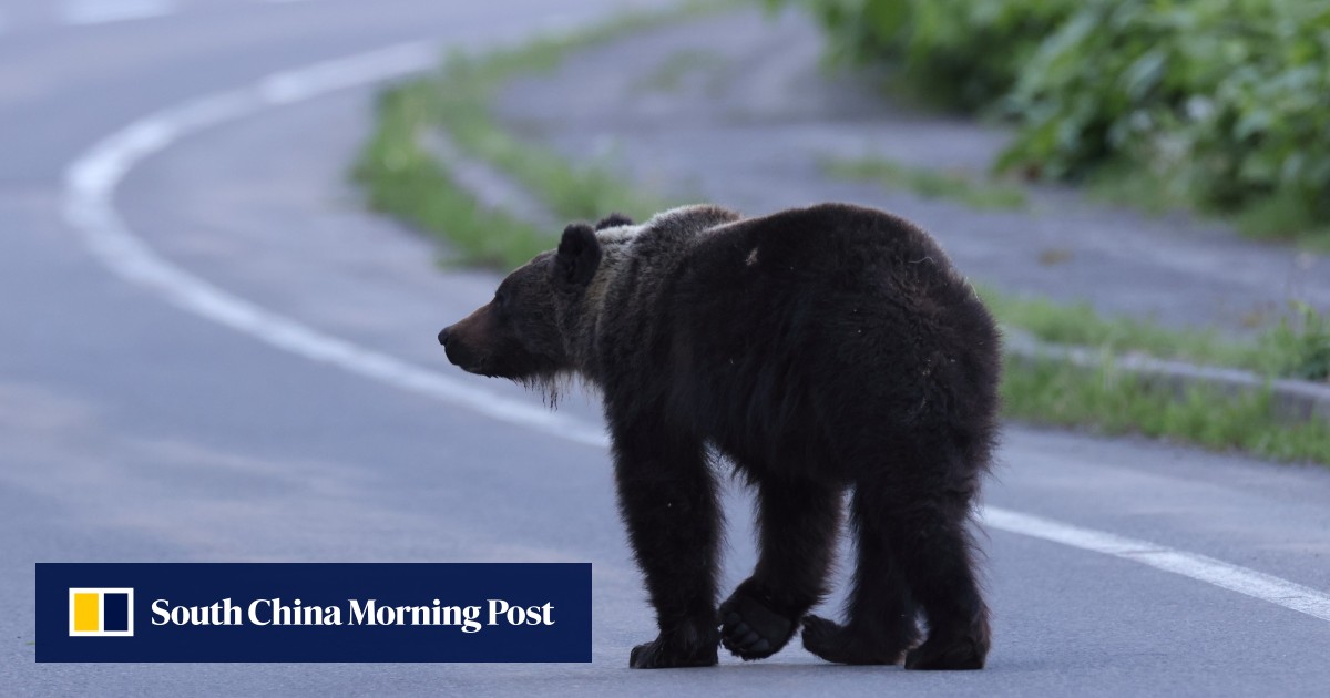 https://cdn.i-scmp.com/sites/default/files/styles/og_image_scmp_generic/public/d8/images/canvas/2025/10/15/ac003aa1-d1fd-4e40-9ae4-df90945fb436_360d9e95.jpg?itok=FepOx-TH&v=1760519836