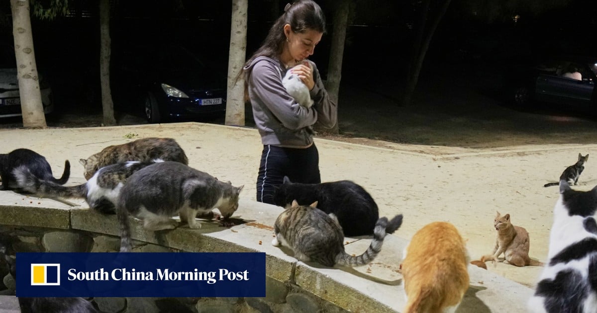 https://cdn.i-scmp.com/sites/default/files/styles/og_image_scmp_generic/public/d8/images/canvas/2025/10/15/e7353a14-2cb3-47f5-8179-650c5945be74_8f2ae9e4.jpg?itok=2XGsxSwj&v=1760515170