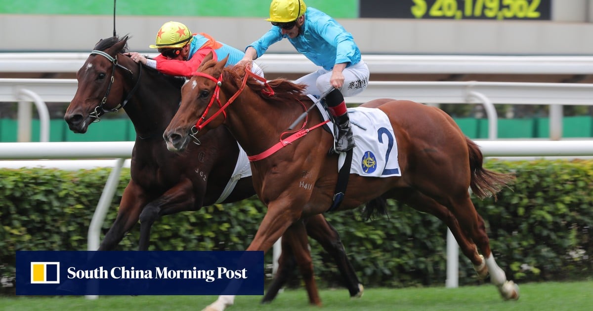 ‘This is a different kettle of fish’ for Ka Ying Rising: James McDonald