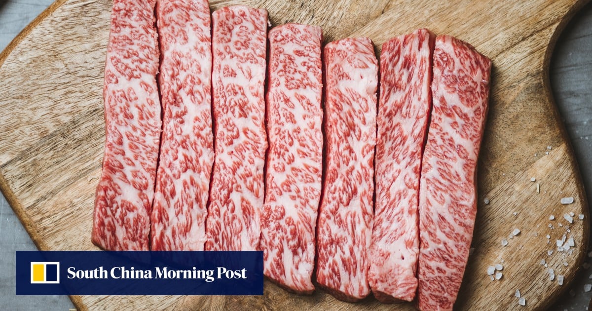 https://cdn.i-scmp.com/sites/default/files/styles/og_image_scmp_generic/public/d8/images/canvas/2025/10/16/b42750ac-1473-4211-8f5f-ccc2ff7c3911_583249ec.jpg?itok=1xXqlhuM&v=1760605695