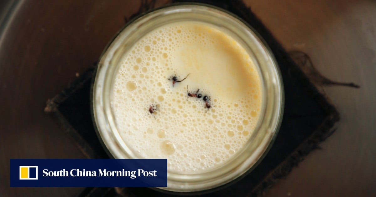 https://cdn.i-scmp.com/sites/default/files/styles/og_image_scmp_generic/public/d8/images/canvas/2025/10/17/27825b77-91be-4756-9177-0c5e54c3c95c_6d276d68.jpg?itok=GqrWCVyj&v=1760672434