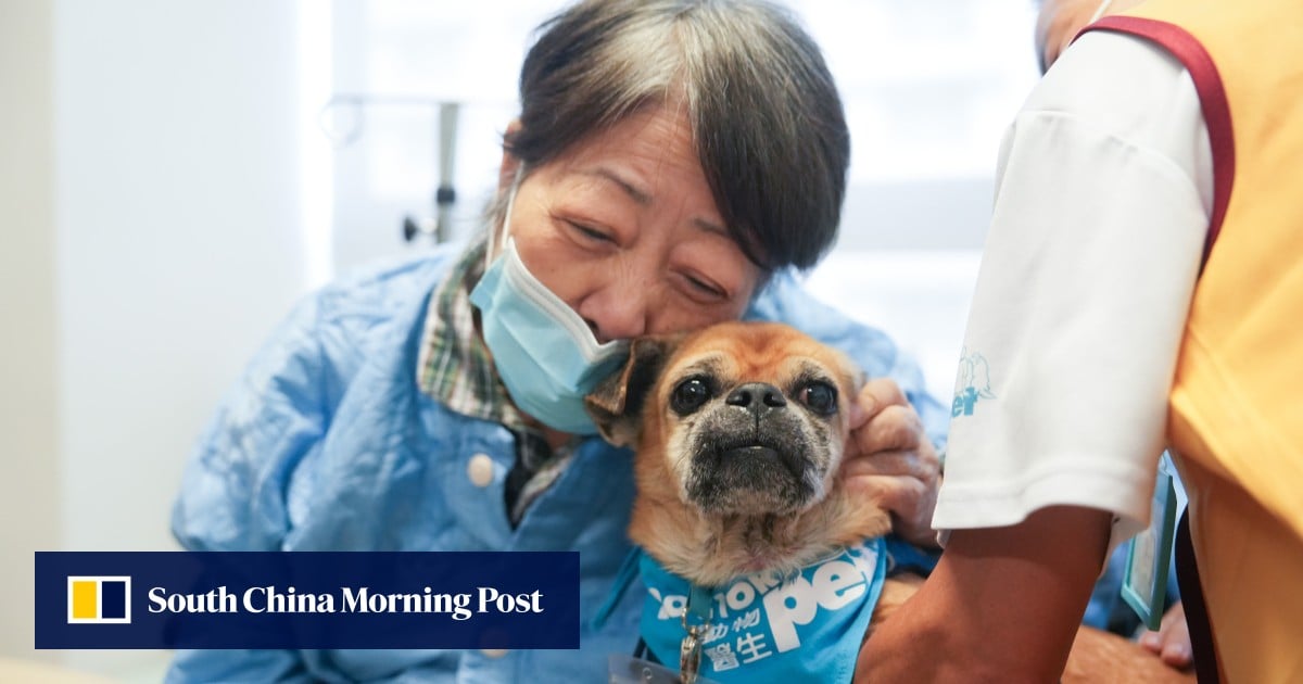 https://cdn.i-scmp.com/sites/default/files/styles/og_image_scmp_generic/public/d8/images/canvas/2025/10/17/c725e0a6-9354-4587-a05e-0503269afd3c_85eb1765.jpg?itok=Ta8duIbQ&v=1760701149