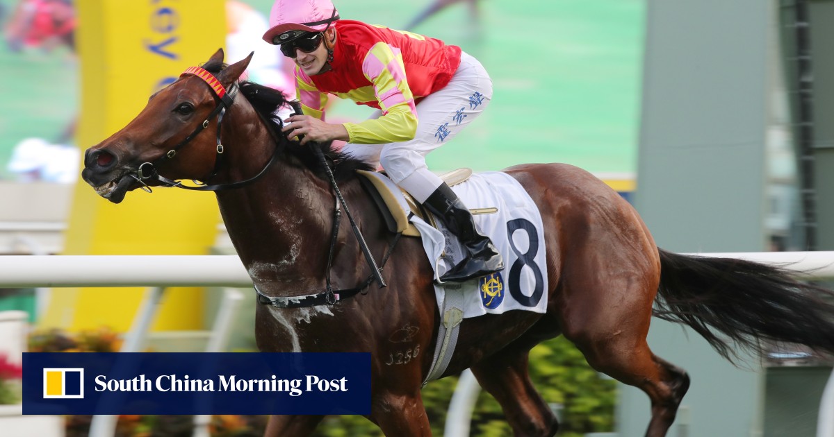 Who wins at Sha Tin? My Wish can burst some bubbles in Sunday feature
