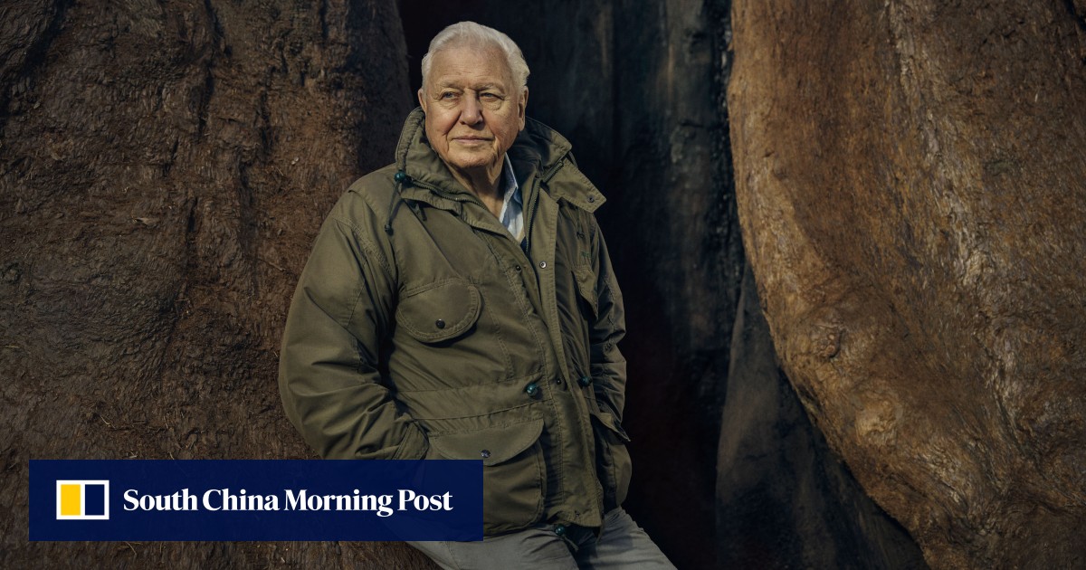 https://cdn.i-scmp.com/sites/default/files/styles/og_image_scmp_generic/public/d8/images/canvas/2025/10/18/c2f30857-272f-416d-a78c-269352d913a2_e81c35dc.jpg?itok=Z5qW8y-S&v=1760760011