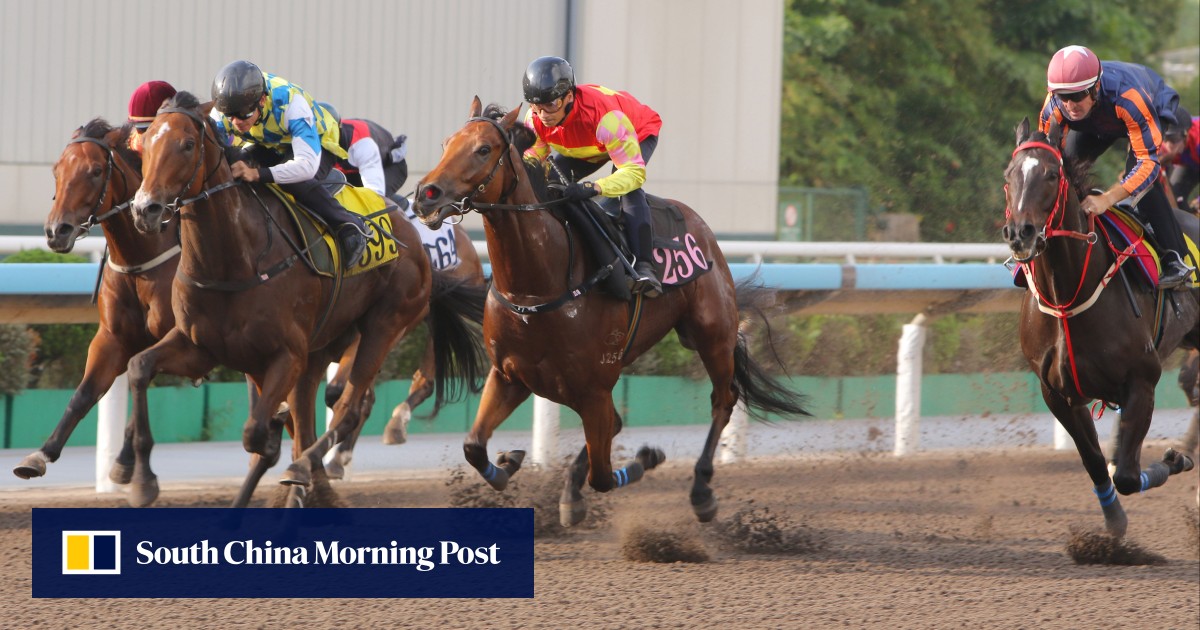 Wide draw no concern for Alexis Badel in My Wish’s much-anticipated clash with Voyage Bubble