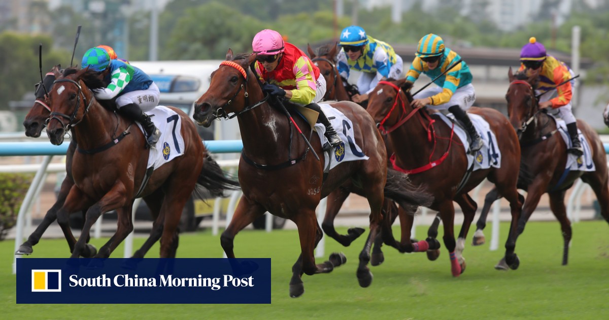 My Wish continues march to Hong Kong Mile with comfortable Sha Tin Trophy success