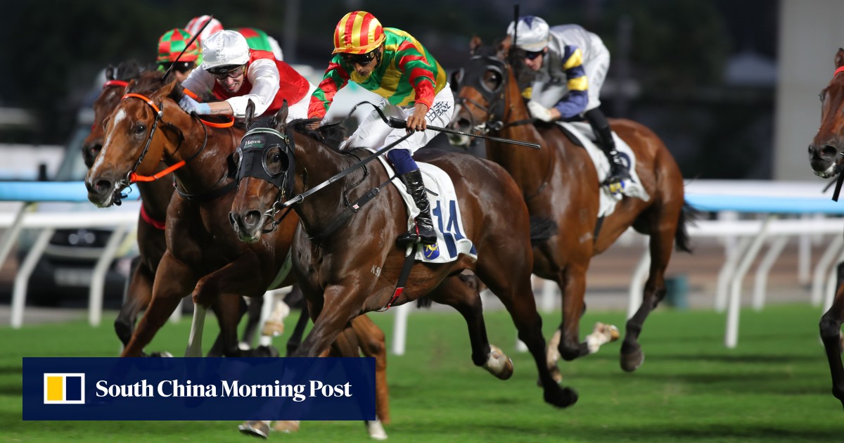 David Hayes spruiks Classic Series prospect as Ka Ying Rising celebrations continue