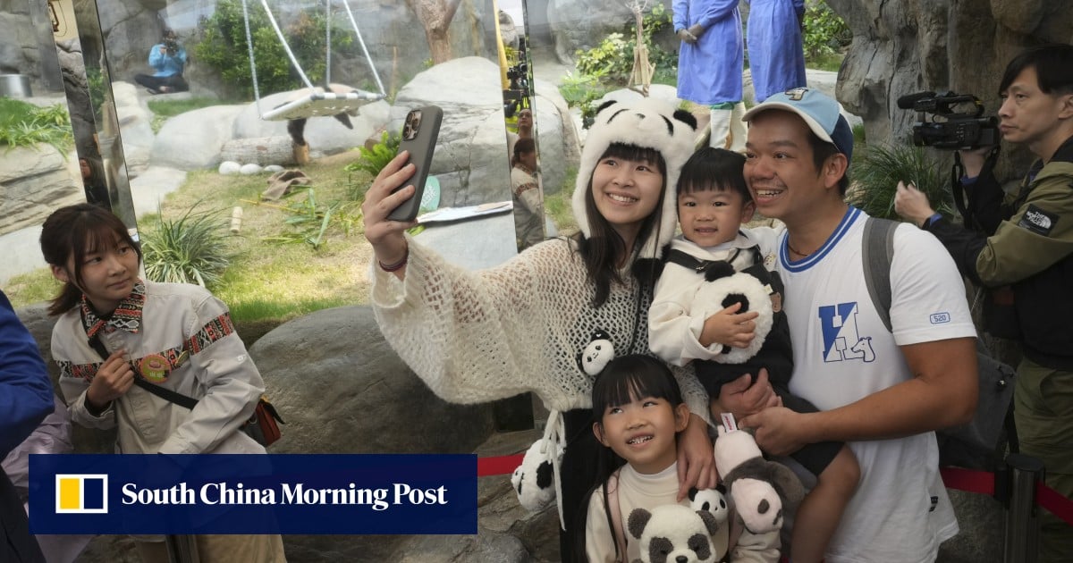 Pandas give Hong Kong’s Ocean Park boost but deficit worsens to HK5 million Pandas give Hong Kong’s Ocean Park boost but deficit worsens to HK5 million