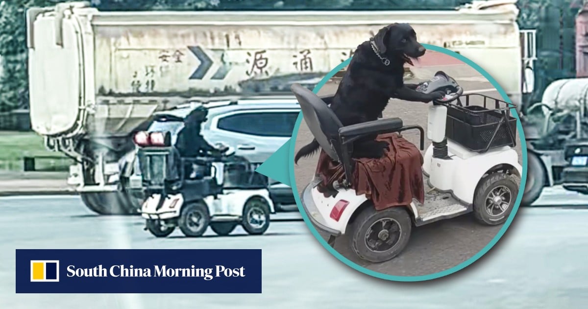 https://cdn.i-scmp.com/sites/default/files/styles/og_image_scmp_generic/public/d8/images/canvas/2025/10/21/e857ee77-460e-430a-93fc-dcfcb2b0e626_f027abe5.jpg?itok=Hg_YKBVw&v=1761033195