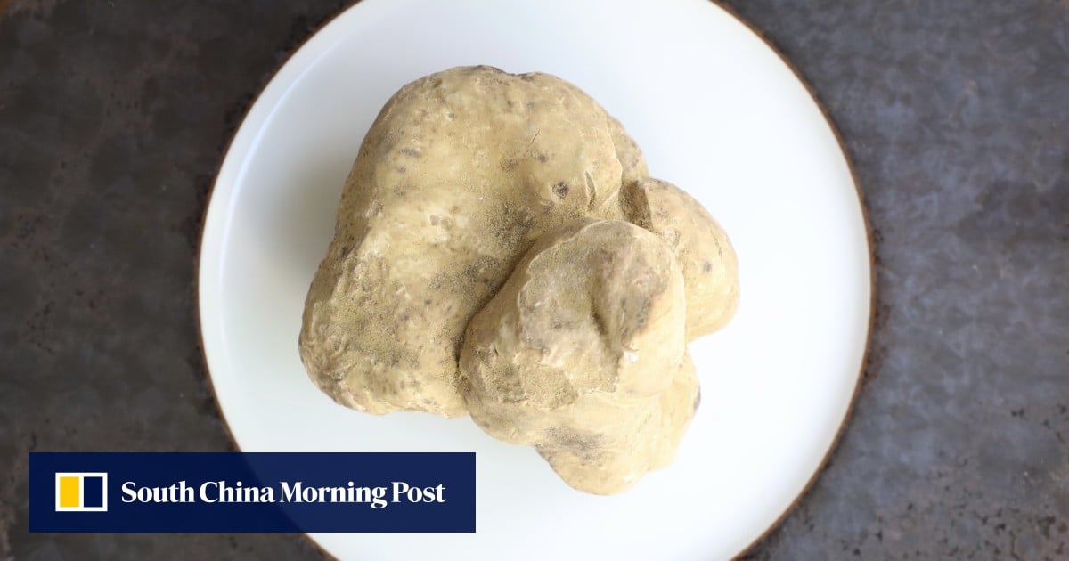 https://cdn.i-scmp.com/sites/default/files/styles/og_image_scmp_generic/public/d8/images/canvas/2025/10/22/931334fe-69fc-452a-b873-78907d26735d_cd511208.jpg?itok=I_9nwBvc&v=1761109786