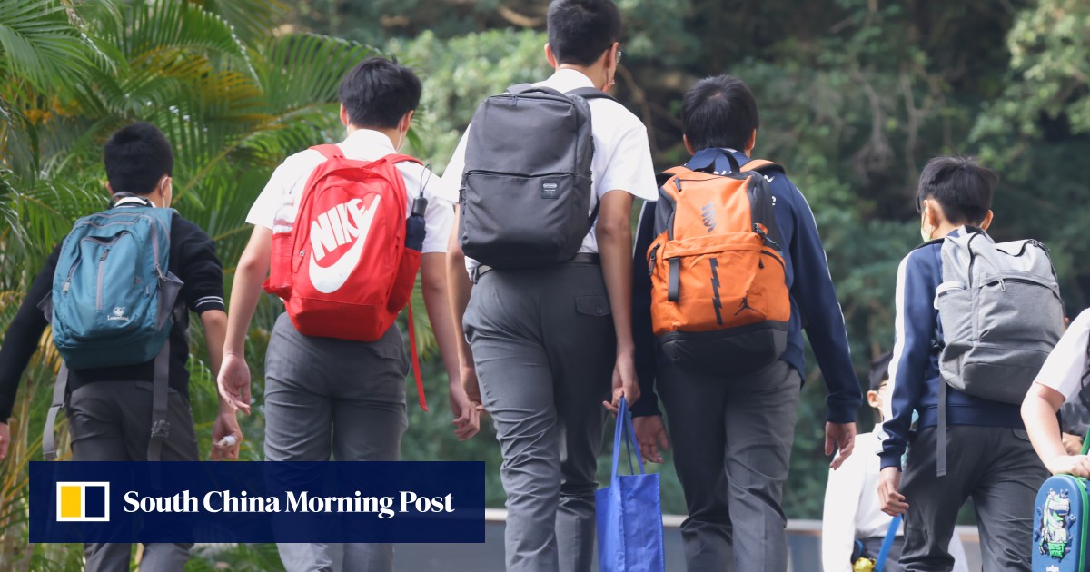 Exclusive | Hong Kong should open up public schools to international pupils: university head