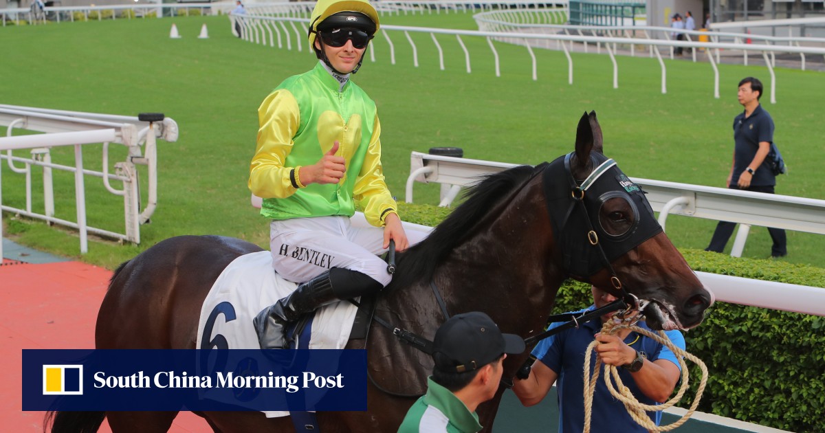 Harry Bentley backs in-form Tomodachi Kokoroe to elevate again in Premier Bowl