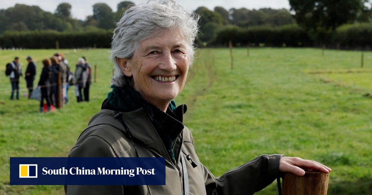Catherine Connolly elected 10th President of Ireland with historic landslide