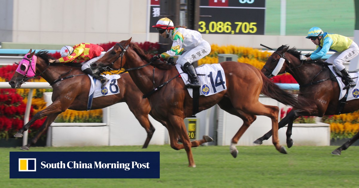 Brazilian Group One winner Sagacious Life upstages hot field in sensational Hong Kong debut