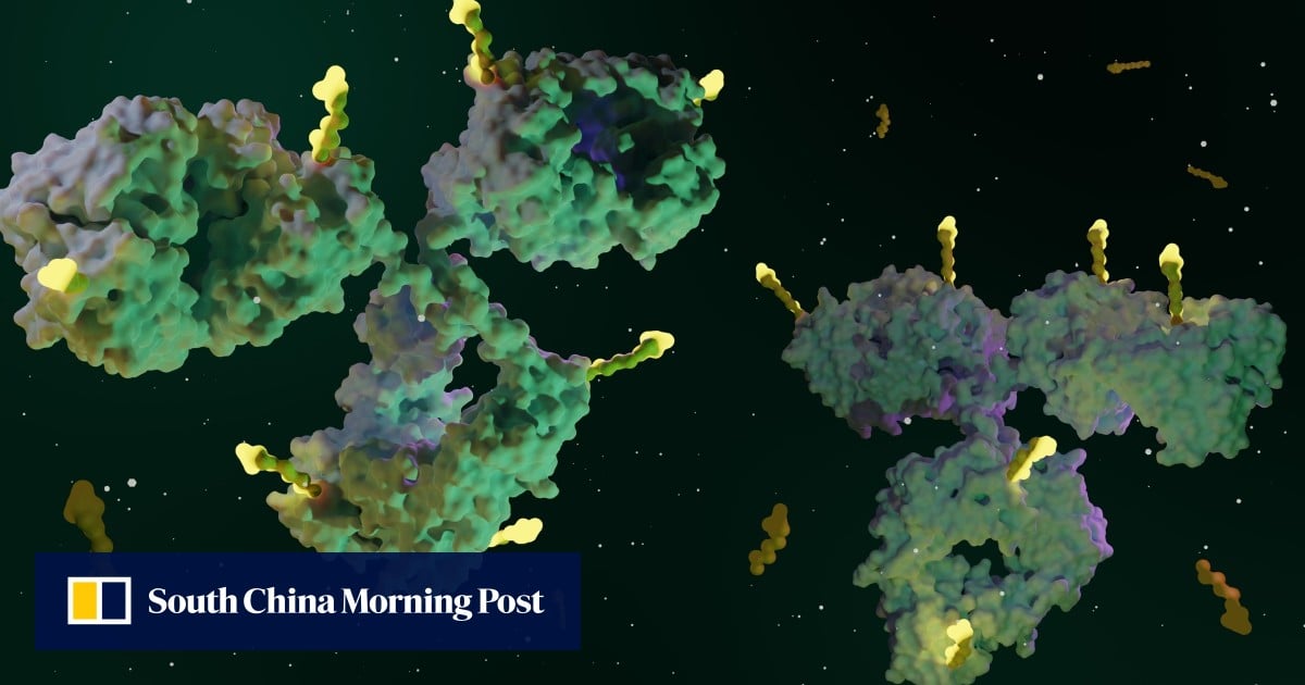 China biotech forum bills antibody cancer drugs as next-generation treatment