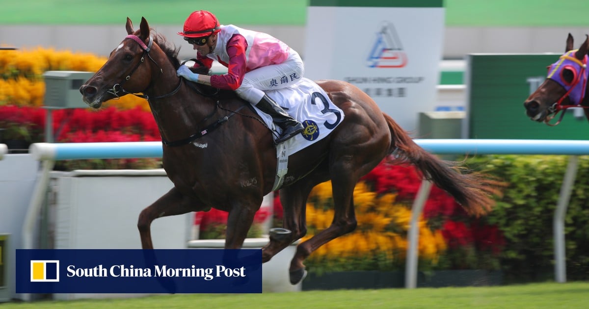 Ever Luck produces stunning debut victory after mid-race detour