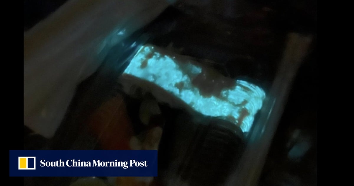 Fishy food: glow-in-dark sushi in Thailand sparks alarm – ‘don’t eat it’