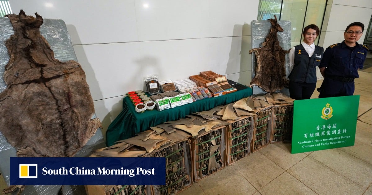150 tonnes of donkey skin among HK0 million smuggling bust in Hong Kong 150 tonnes of donkey skin among HK0 million smuggling bust in Hong Kong