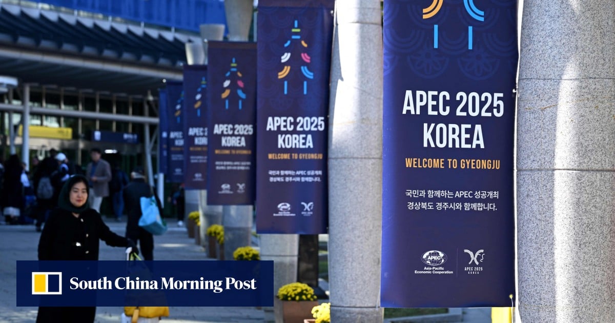 Hong Kong leader John Lee eyes Apec opportunities as he lands in Korea for forum Hong Kong leader John Lee eyes Apec opportunities as he lands in Korea for forum