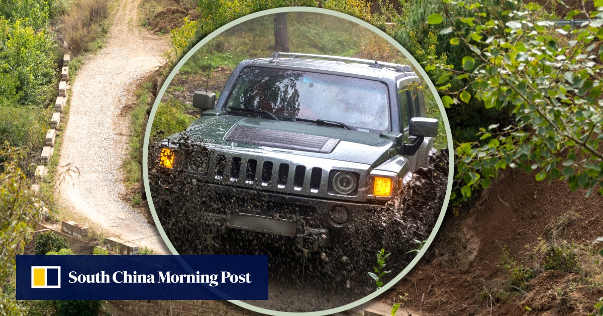 China son sentenced to death for killing mum by running her over with car in insurance fraud