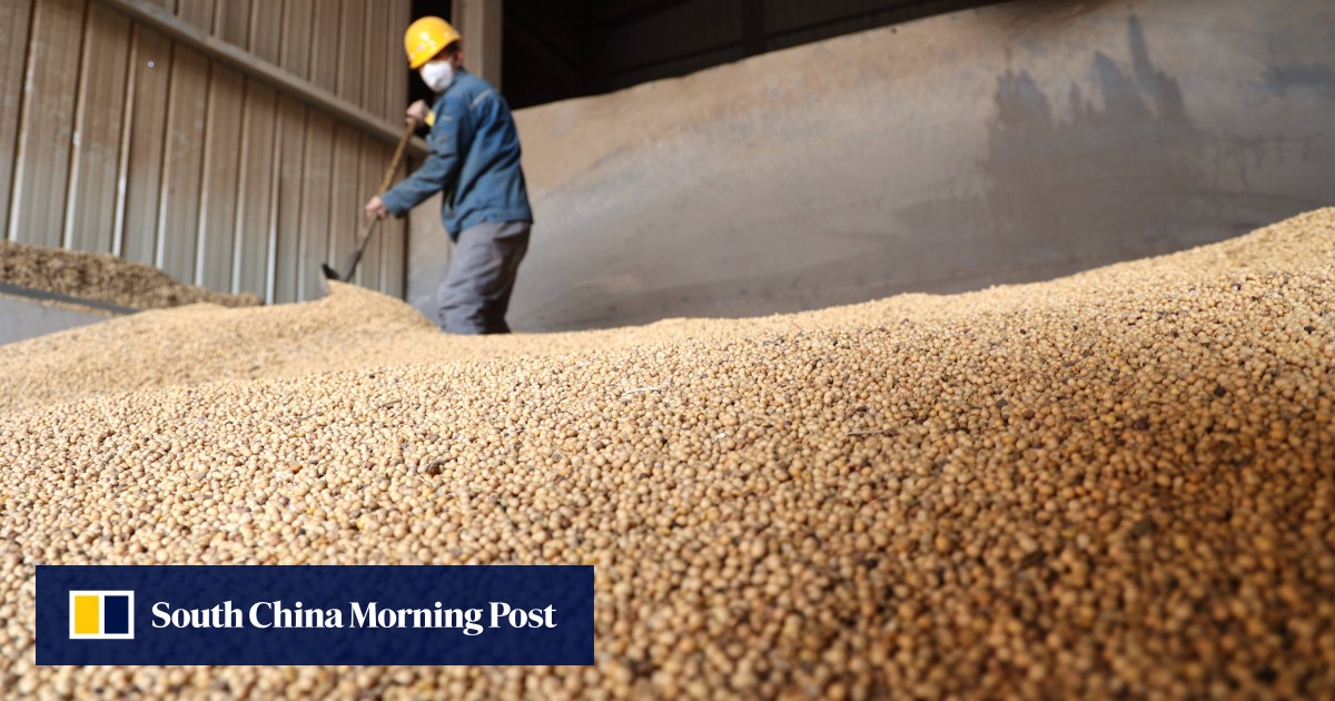 US-China soybean deal signals yearly negotiations as farmers hope for steady trade