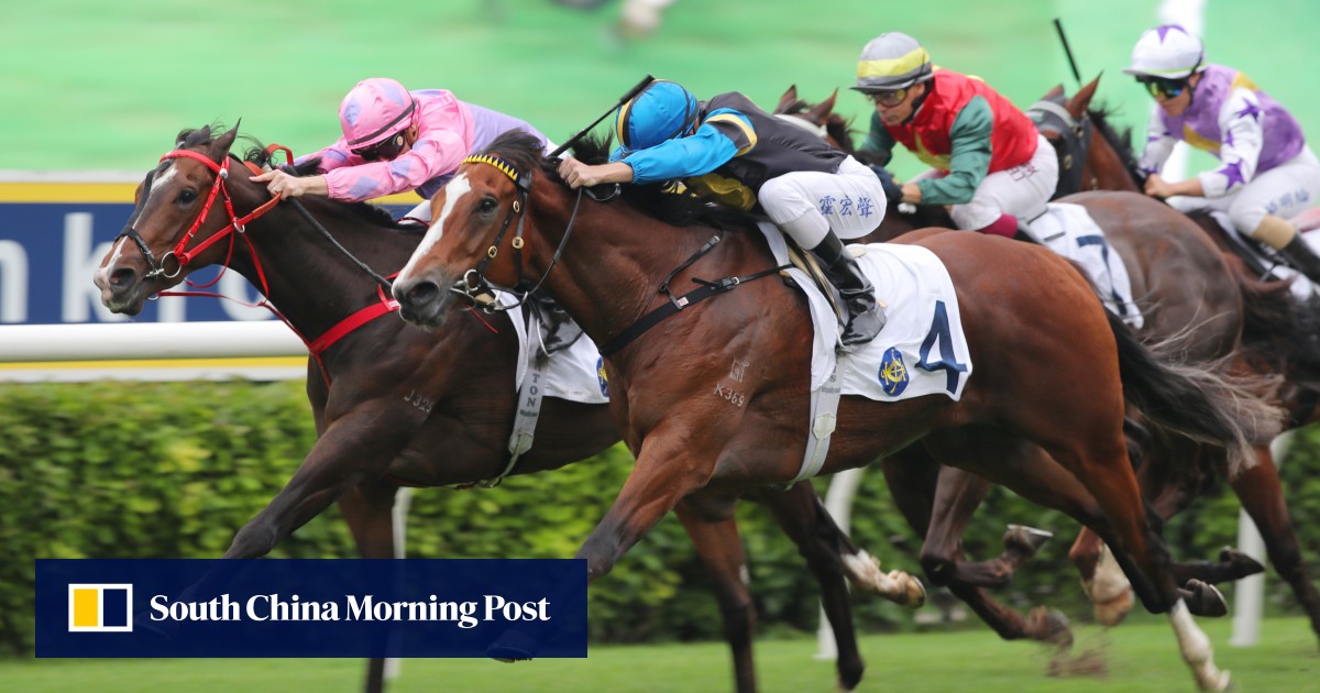 Who wins at Happy Valley? Masterofmyuniverse can take the world of beating for John Size