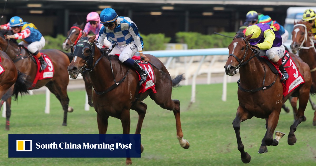 David Hayes continues hot streak as super-sub Storm Rider does the business at Happy Valley