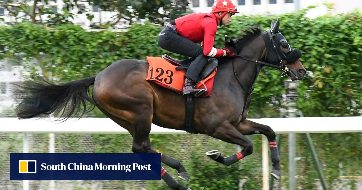 Group One placegetter makes Hong Kong debut at Sha Tin: ‘He’s a lovely horse’
