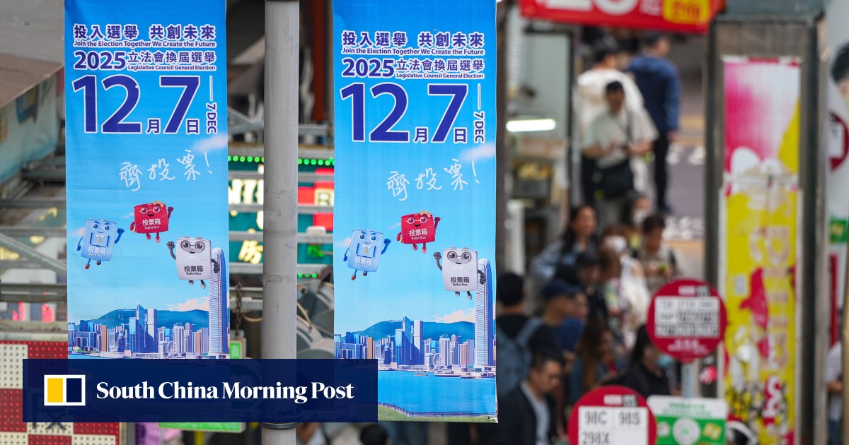 2 men arrested over theft, damage of Hong Kong Legco election posters