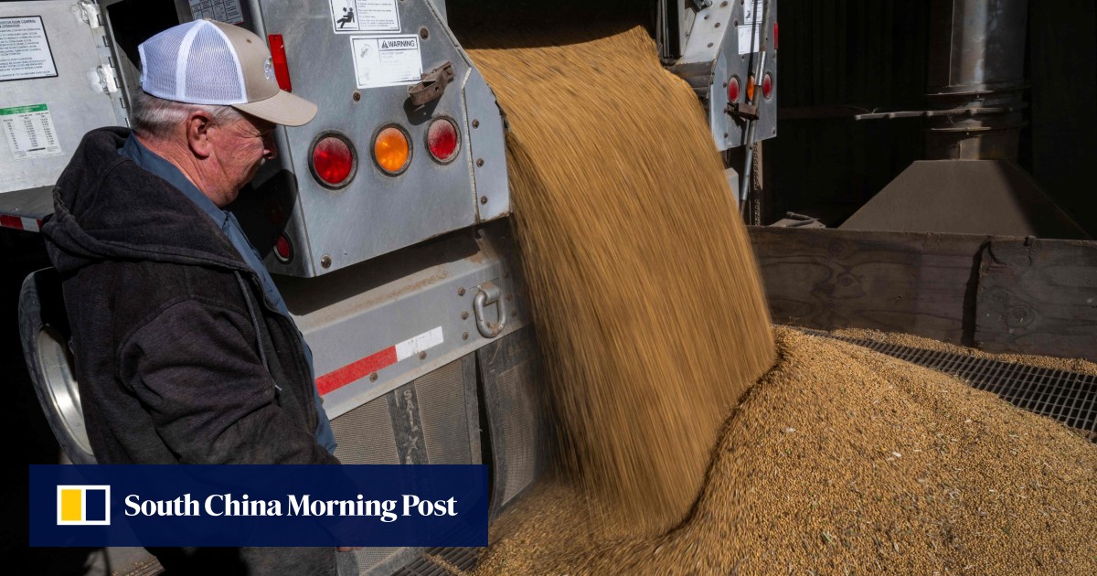 China signals soybean appetite to spark ‘many deals’ with US farmers – if prices are right
