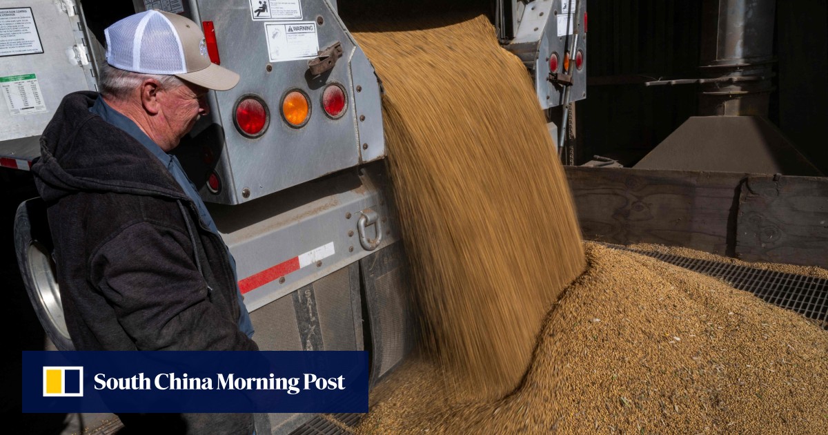China signals soybean demand to spark ‘many deals’ with US – if prices are right China signals soybean demand to spark ‘many deals’ with US – if prices are right