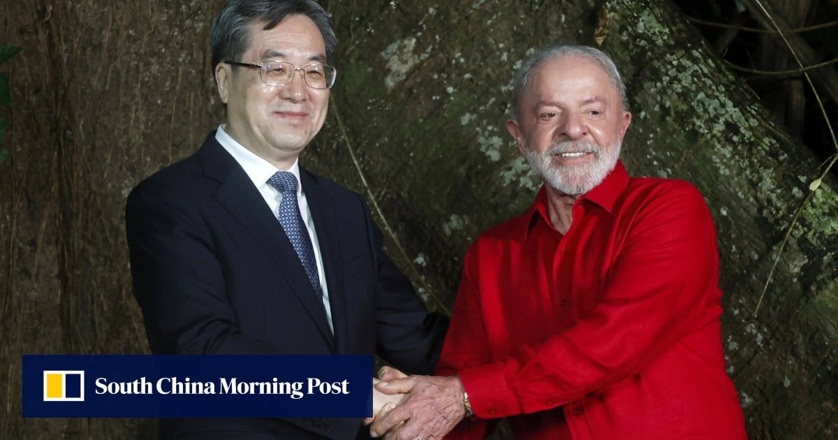 China joins support for Brazil’s Forest Fund but delays financial commitment