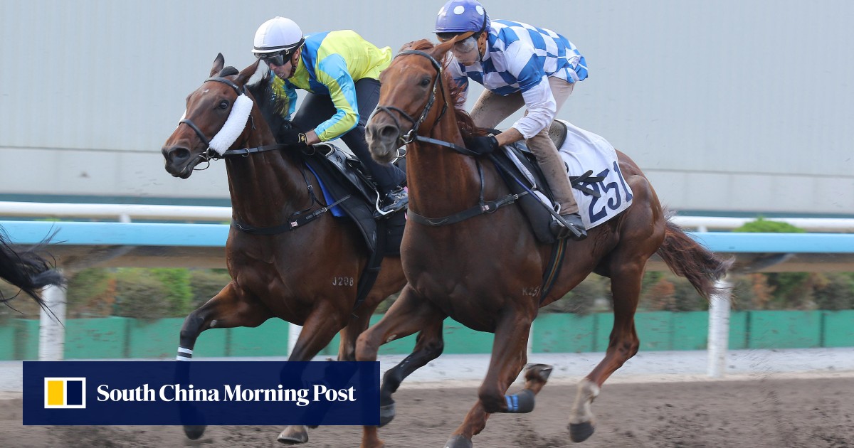 David Eustace wheels out big guns at Sha Tin: ‘His first-up run was excellent’
