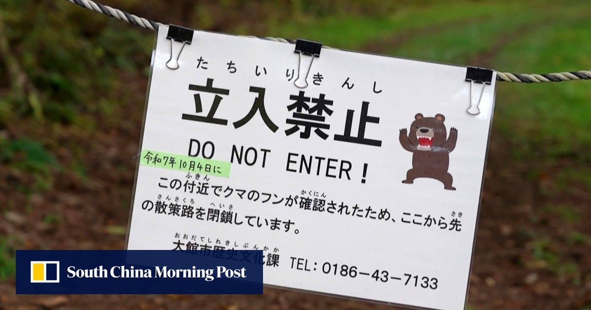 China warns citizens in Japan about wildlife risks amid surge in bear attacks