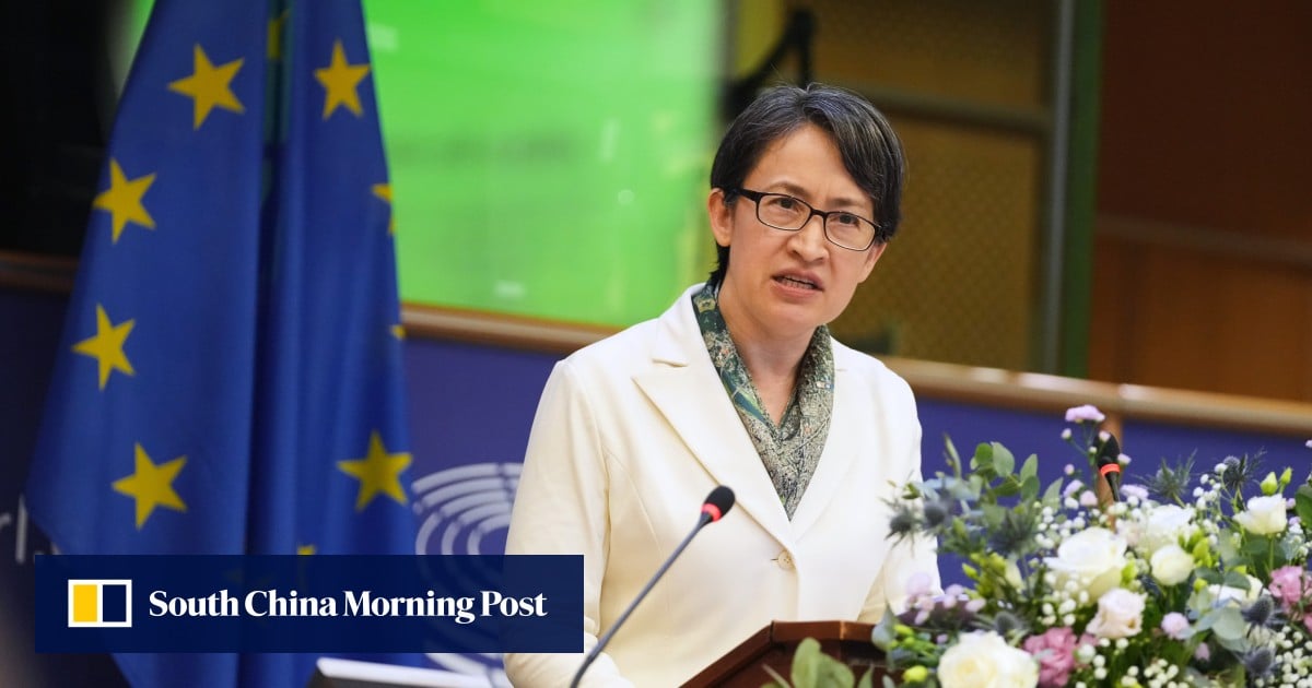 Taiwan’s No 2 leader makes shock speech at European Parliament