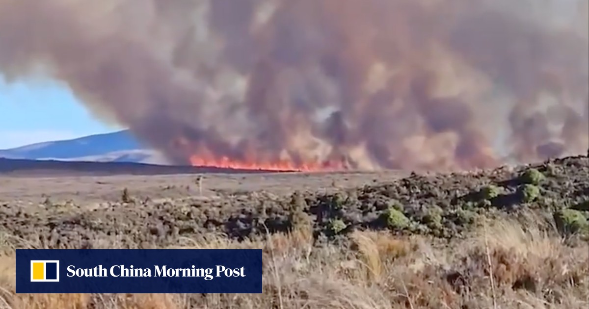 40 hikers rescued in New Zealand amid out-of-control wildfire