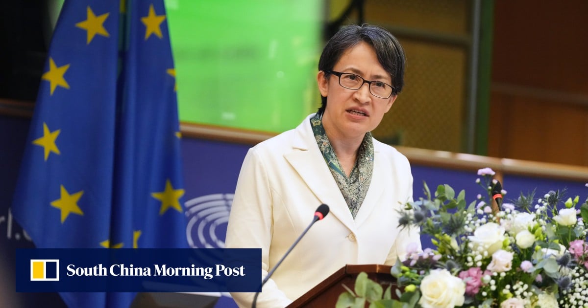 ‘Milestone’ or stunt? Taiwanese debate No 2 leader’s European Parliament speech