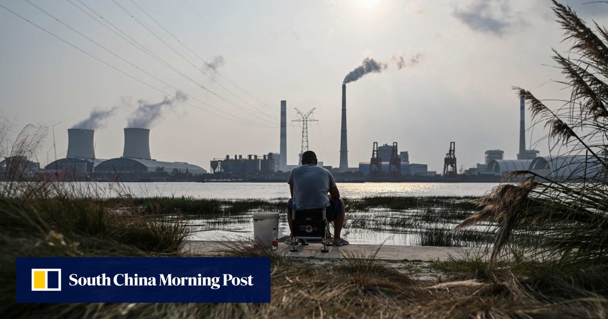 China won’t back Brazil rainforest fund, points to rich nations’ lack of support: reports