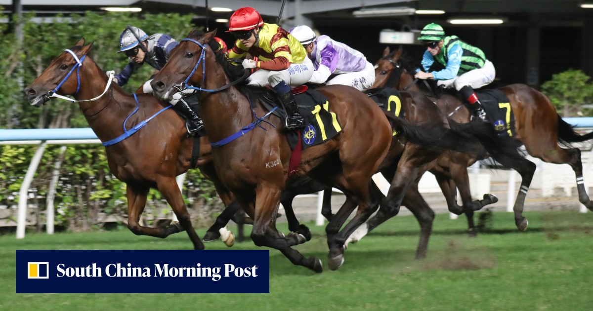 Carnage for punters at Happy Valley as $83 shot headlines raft of ...