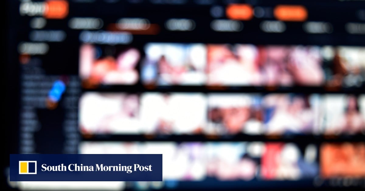 ‘There’s hardcore porn on TV’: ferry apologises after adult film seen by children