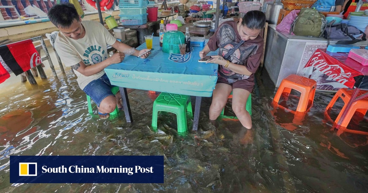 Flooded Thai restaurant lets customers dine with live fish