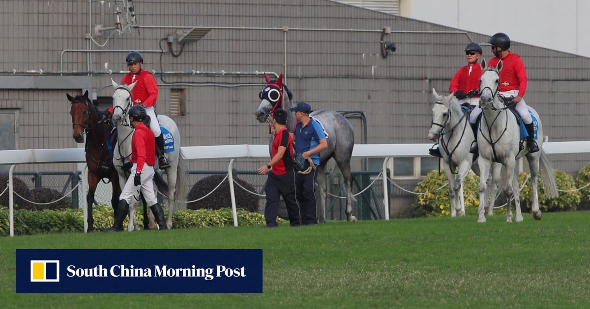 Jockey Club boss blames ‘negligence’ in ‘unacceptable’ incident that caused voided race at Sha Tin