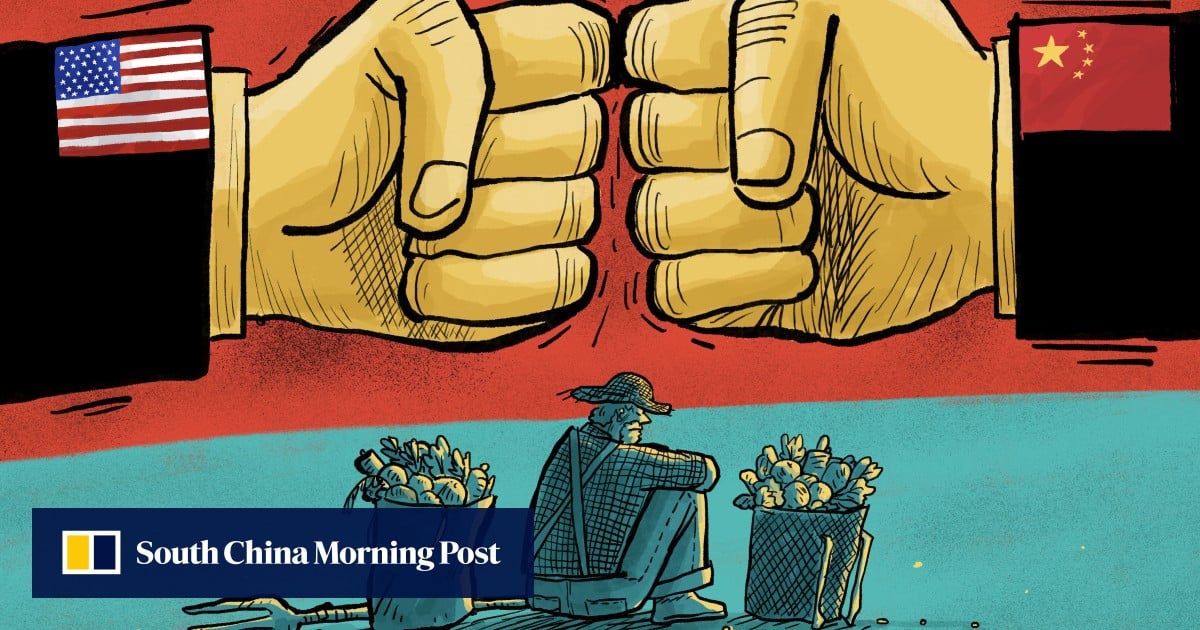 Bankruptcies, suicides: US farmers detail cost of trade tensions